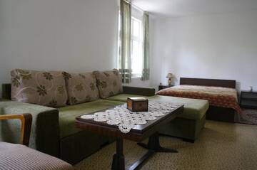 Фото номера Классический четырехместный номер Гостевой дом Guest House Pepeliana г. Sŭbotkovtsi 5
